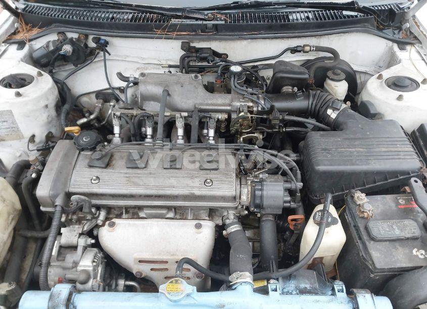 Photo 10 of 1995 Toyota Corolla LE/DX (VIN 2T1AE09B8SC110653)