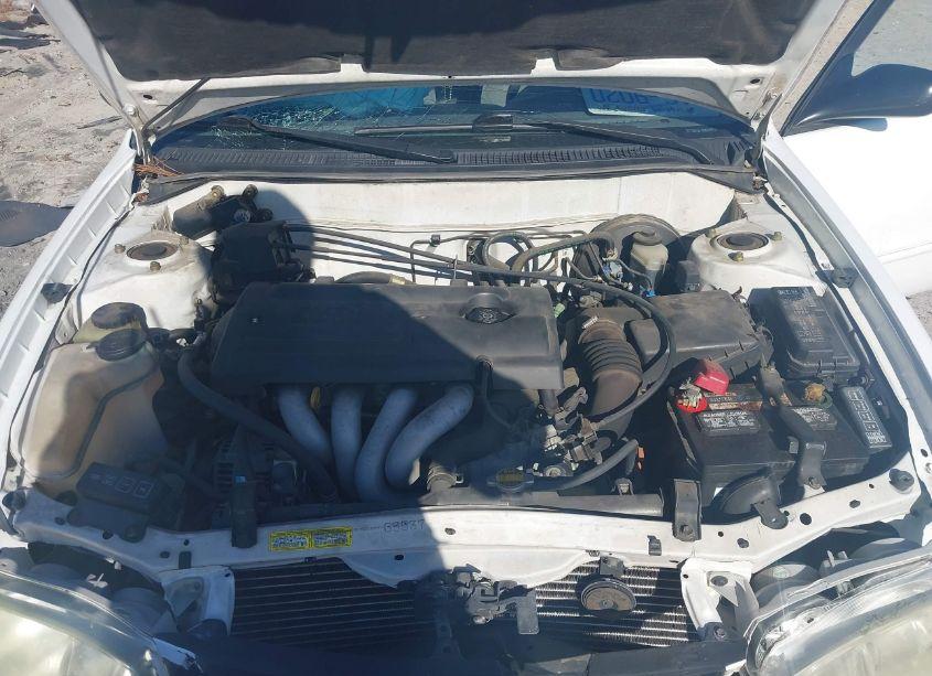 Photo 10 of 2002 Toyota Corolla LE (VIN 2T1BR12E02C569890)