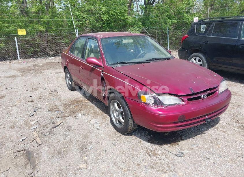 1999 Toyota Corolla LE (VIN 2T1BR12E0XC114366) main photo