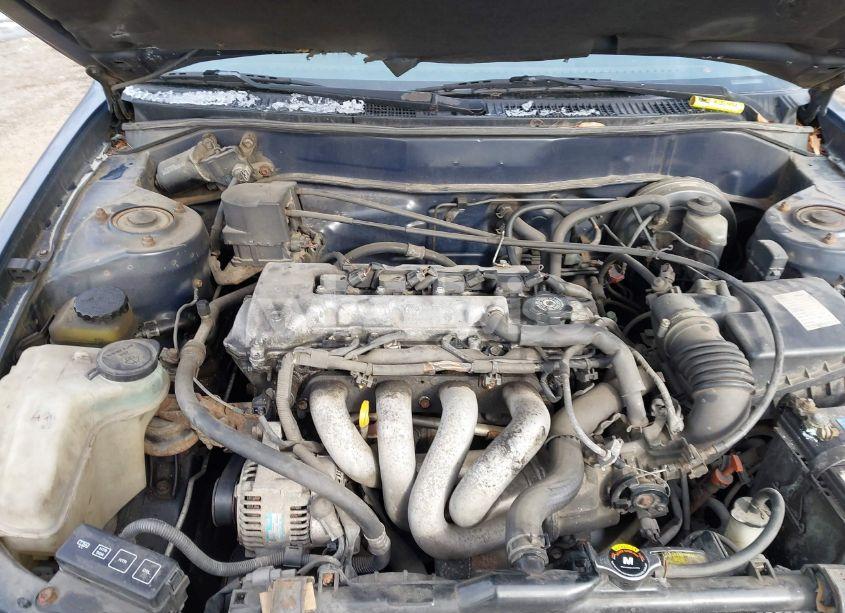 Photo 10 of 2001 Toyota Corolla S (VIN 2T1BR12E21C440905)