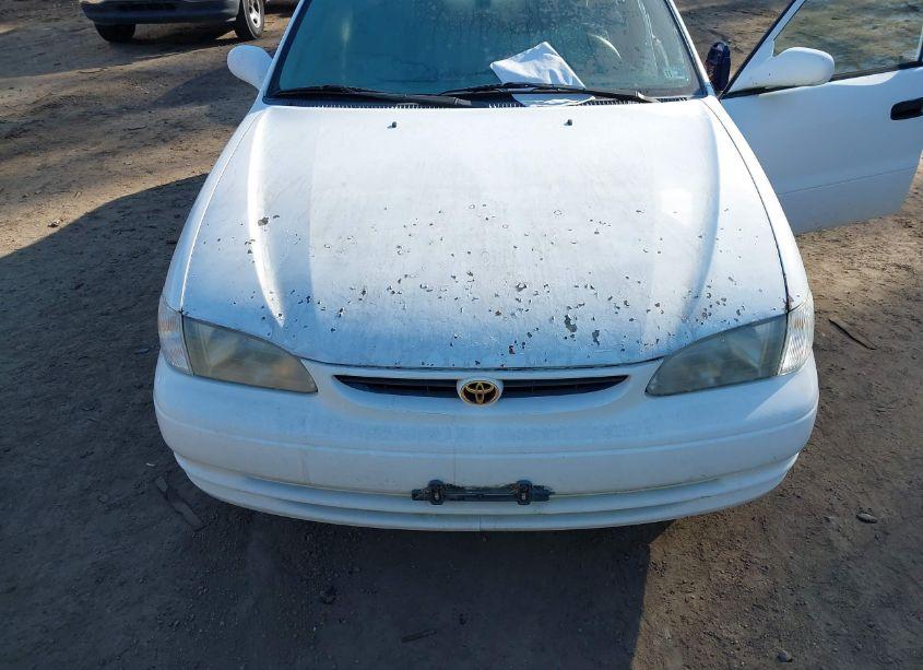Photo 6 of 2000 Toyota Corolla VE (VIN 2T1BR12E5YC317075)