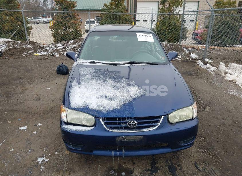 Photo 12 of 2002 Toyota Corolla LE (VIN 2T1BR12EX2C526836)