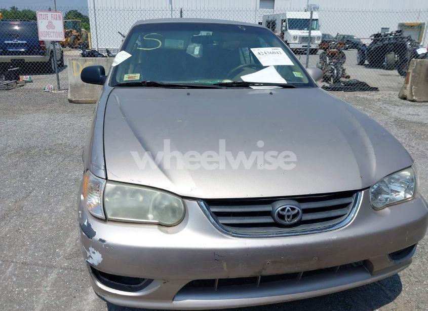 Photo 10 of 2002 Toyota Corolla LE (VIN 2T1BR12EX2C577933)