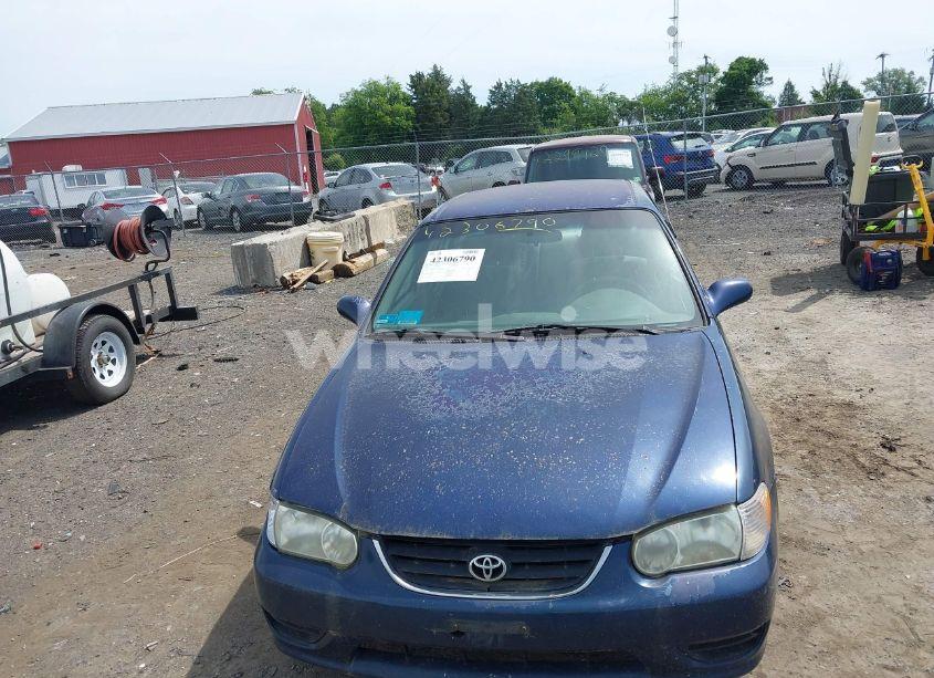 Photo 6 of 2002 Toyota Corolla CE/LE/S (VIN 2T1BR18E52C547715)