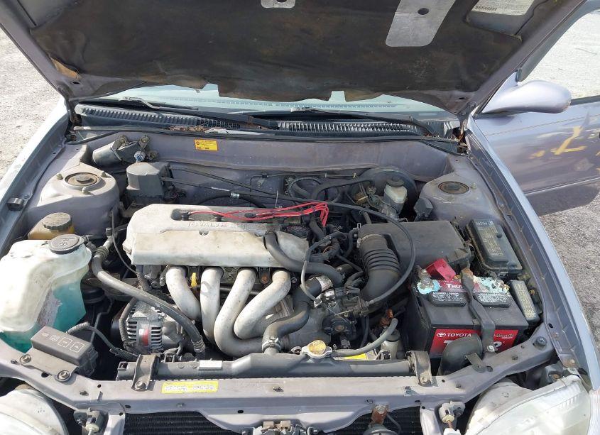 Photo 10 of 1998 Toyota Corolla LE (VIN 2T1BR18E6WC047410)