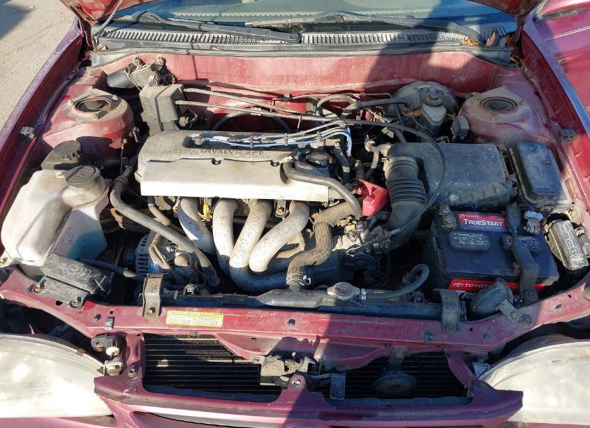 Photo 10 of 1998 Toyota Corolla LE (VIN 2T1BR18E9WC097010)