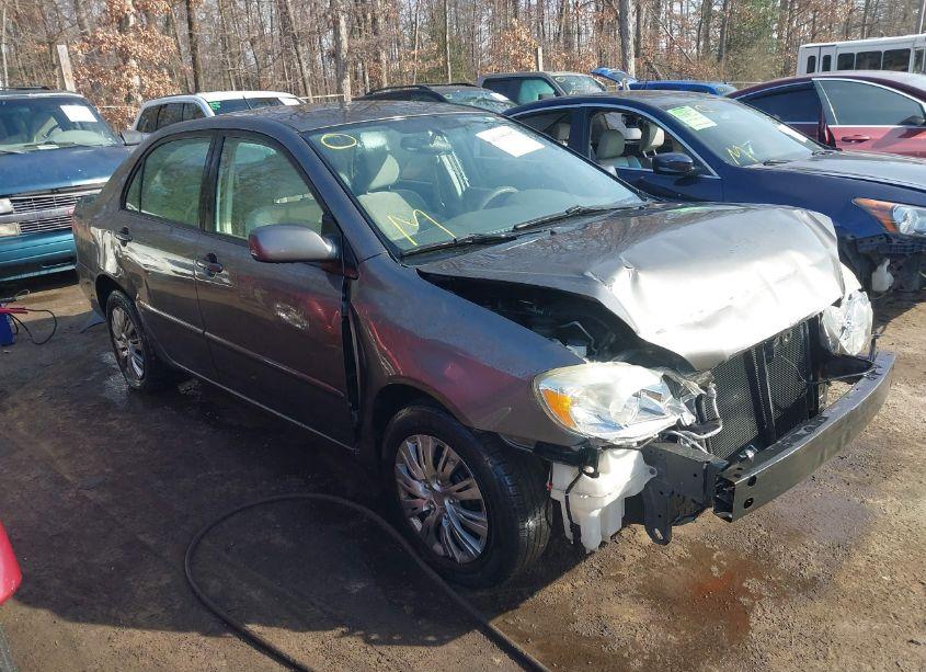 2007 Toyota Corolla LE (VIN 2T1BR32E07C813704) main photo