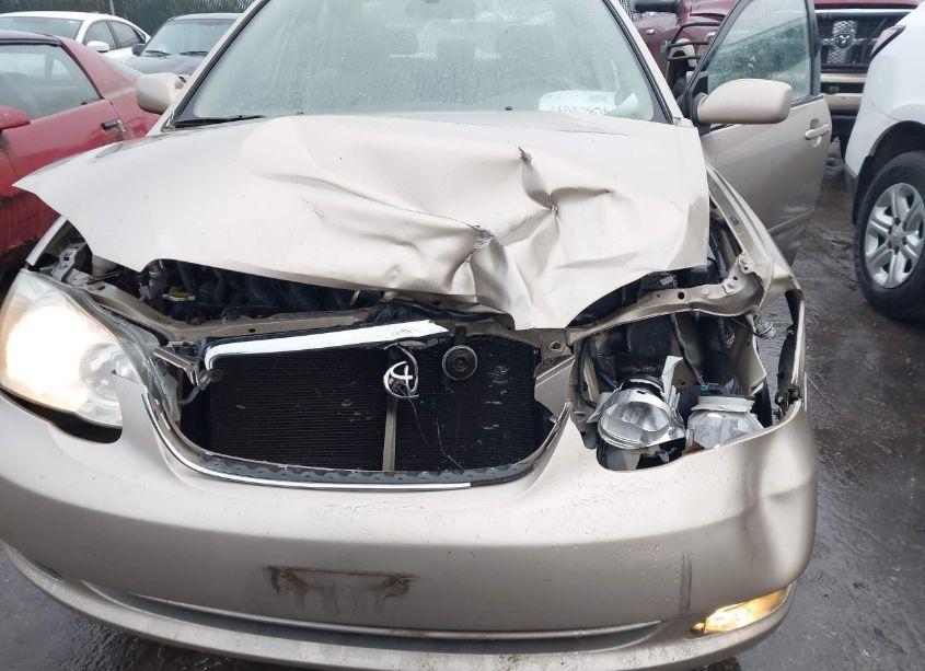 Photo 6 of 2007 Toyota Corolla LE (VIN 2T1BR32E17C852933)