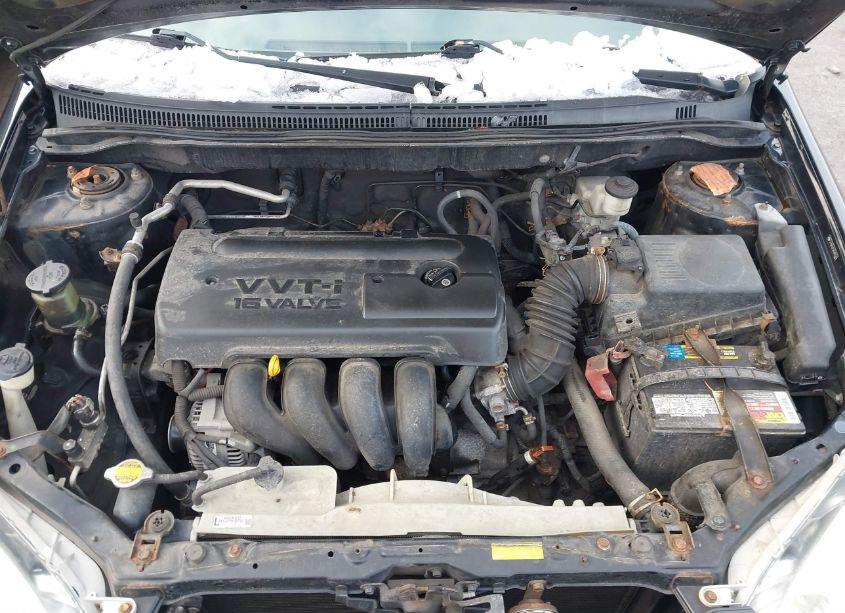 Photo 10 of 2008 Toyota Corolla LE (VIN 2T1BR32E38C895543)