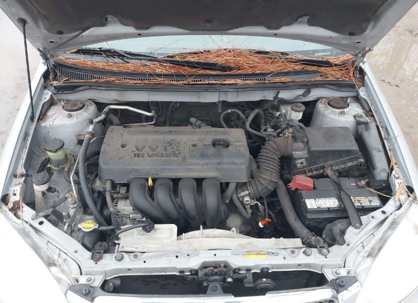 Photo 10 of 2008 Toyota Corolla CE (VIN 2T1BR32E68C899618)