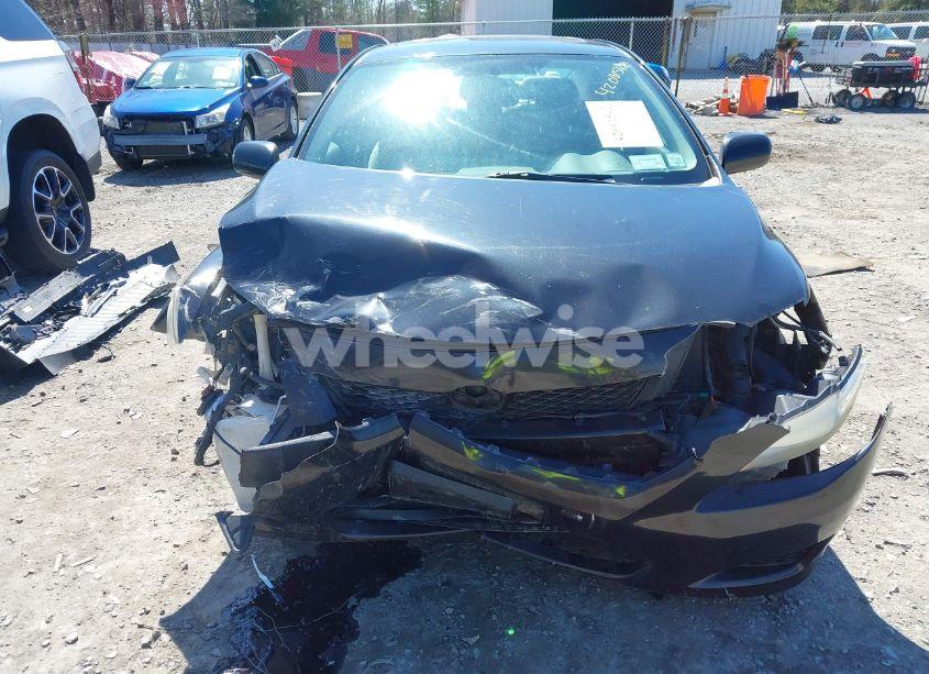 Photo 6 of 2009 Toyota Corolla LE (VIN 2T1BU40E19C080007)