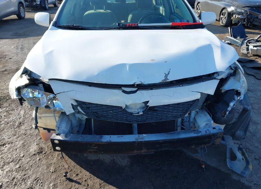 Photo 6 of 2009 Toyota Corolla LE (VIN 2T1BU40E19C106363)