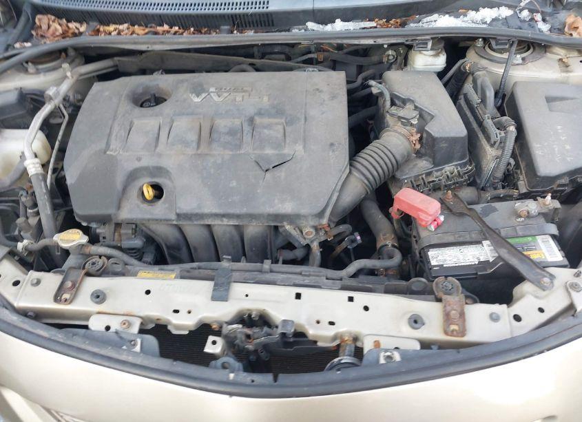 Photo 10 of 2009 Toyota Corolla LE (VIN 2T1BU40E19C159726)