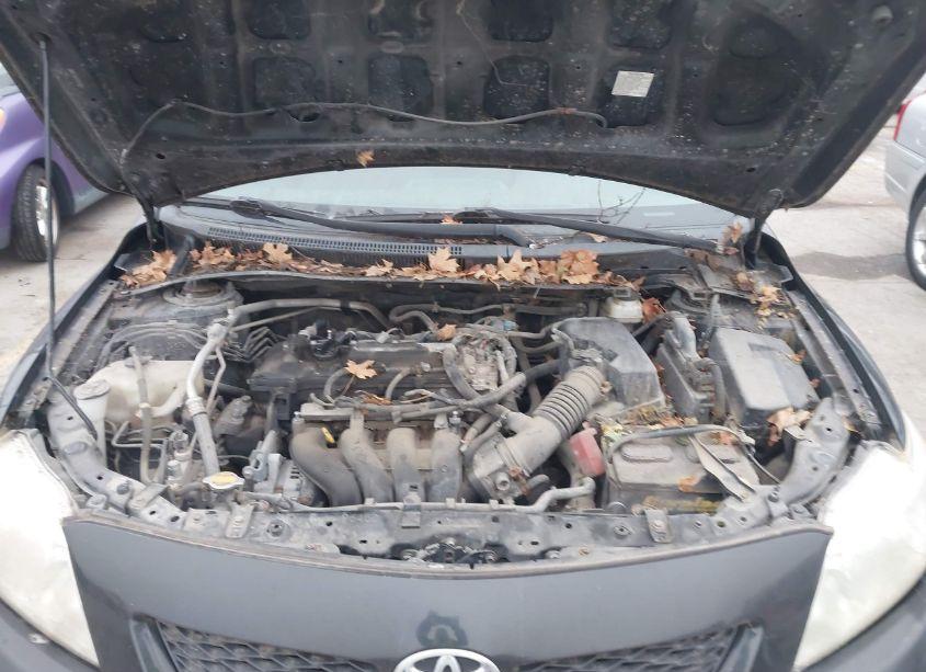 Photo 10 of 2009 Toyota Corolla LE (VIN 2T1BU40E29C139873)