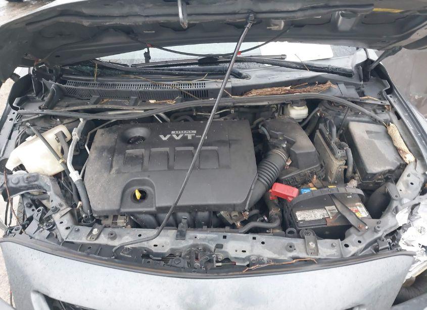 Photo 10 of 2009 Toyota Corolla S (VIN 2T1BU40E39C146685)