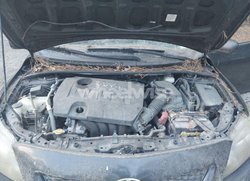 Photo 10 of 2009 Toyota Corolla S (VIN 2T1BU40E49C038155)