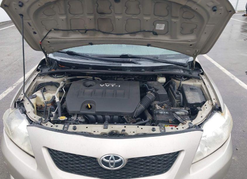 Photo 10 of 2009 Toyota Corolla LE (VIN 2T1BU40E49C108107)