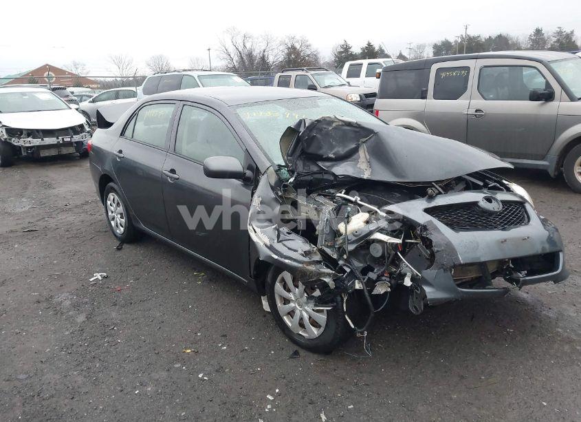 2009 Toyota Corolla LE (VIN 2T1BU40E49C185284) main photo