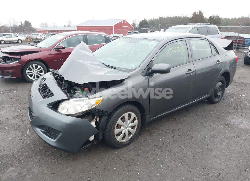Photo 2 of 2009 Toyota Corolla LE (VIN 2T1BU40E49C185284)
