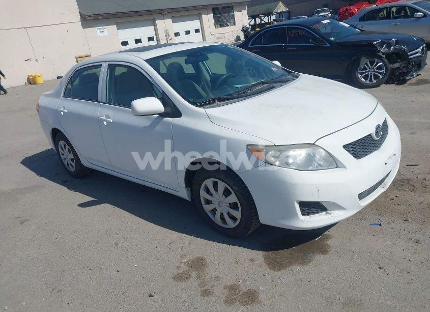 2009 Toyota Corolla LE (VIN 2T1BU40E59C050265) main photo