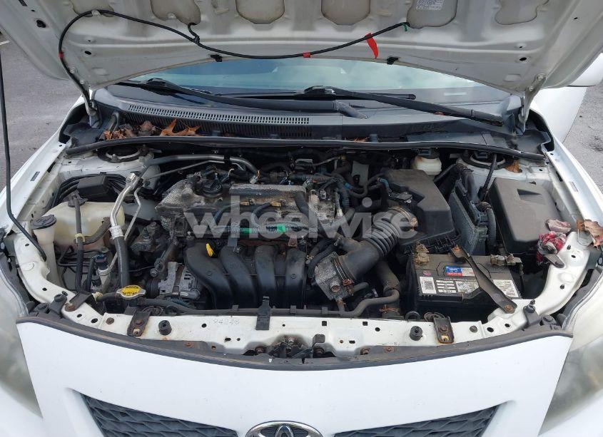 Photo 10 of 2009 Toyota Corolla S (VIN 2T1BU40E59C052257)