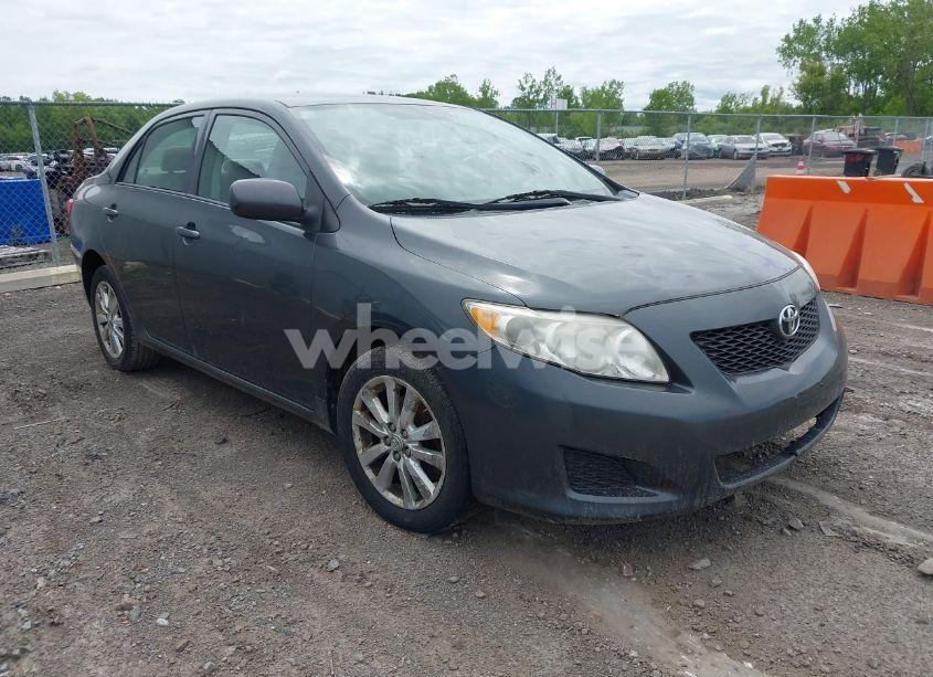 2009 Toyota Corolla LE/S/XLE (VIN 2T1BU40E69C039288) main photo
