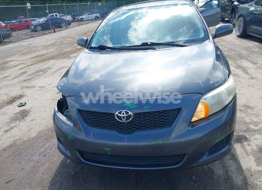 Photo 12 of 2009 Toyota Corolla LE (VIN 2T1BU40E69C096901)