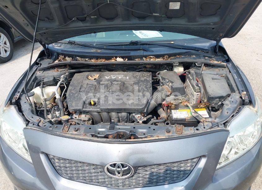 Photo 10 of 2009 Toyota Corolla LE (VIN 2T1BU40E69C105094)