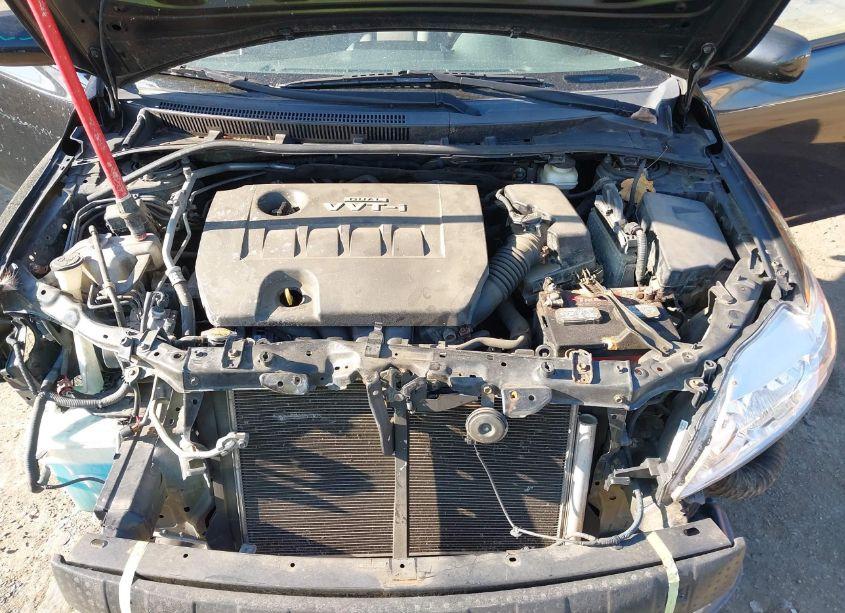 Photo 10 of 2009 Toyota Corolla LE (VIN 2T1BU40E79C178006)