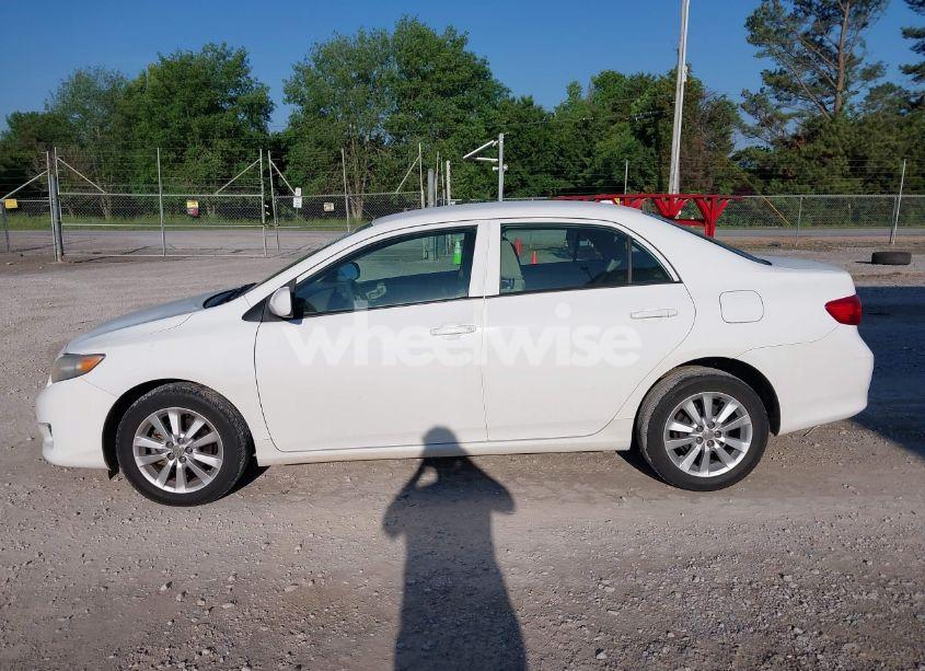 Photo 14 of 2009 Toyota Corolla S/LE/XLE (VIN 2T1BU40E89C026591)