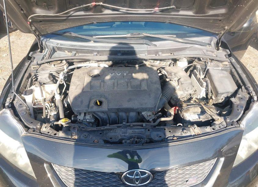 Photo 10 of 2009 Toyota Corolla S (VIN 2T1BU40E89C046131)