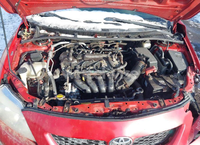 Photo 10 of 2009 Toyota Corolla LE (VIN 2T1BU40E89C087469)