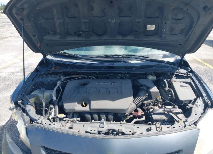 Photo 10 of 2009 Toyota Corolla LE (VIN 2T1BU40E89C114329)