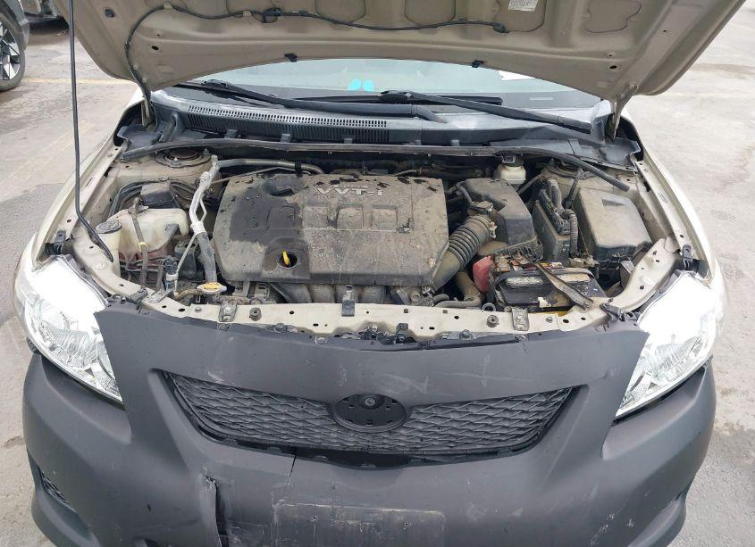 Photo 10 of 2009 Toyota Corolla LE (VIN 2T1BU40E89C118896)