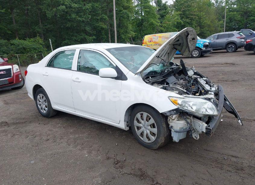2009 Toyota Corolla LE (VIN 2T1BU40E99C097900) main photo