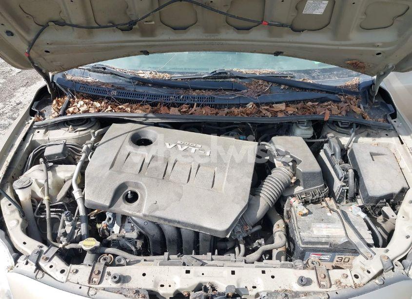 Photo 10 of 2009 Toyota Corolla LE (VIN 2T1BU40EX9C022039)