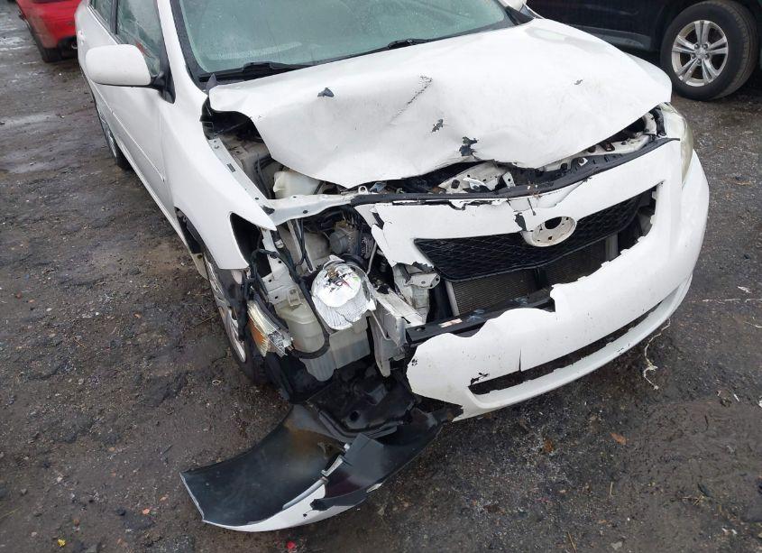 Photo 6 of 2009 Toyota Corolla XLE (VIN 2T1BU40EX9C128457)