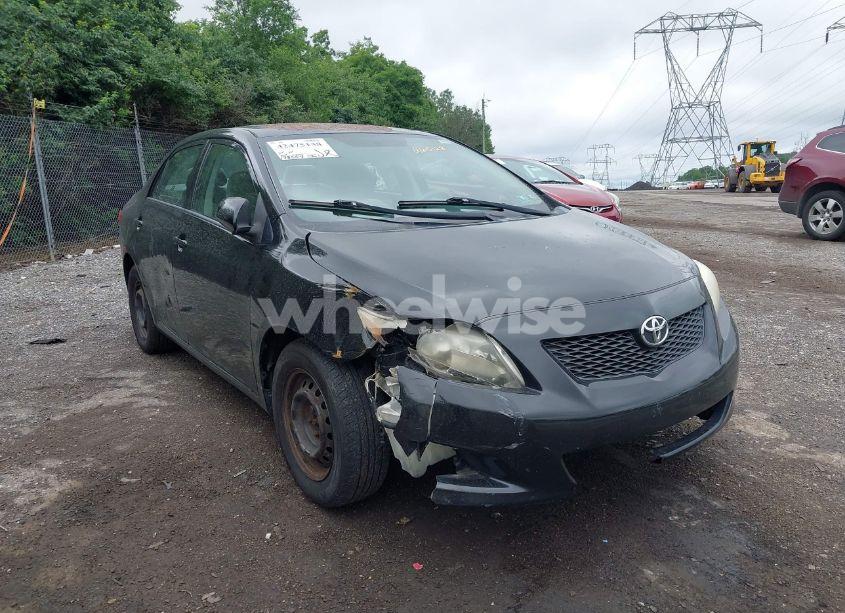 Photo 6 of 2010 Toyota Corolla LE (VIN 2T1BU4EE0AC265128)