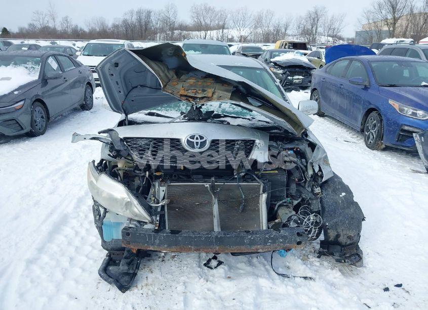 Photo 12 of 2010 Toyota Corolla LE (VIN 2T1BU4EE0AC282639)