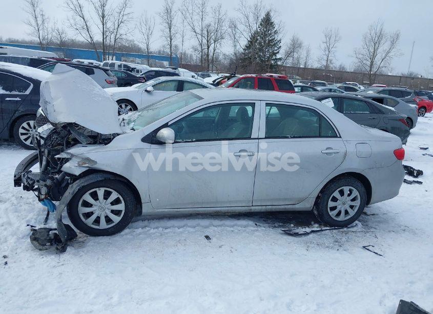 Photo 14 of 2010 Toyota Corolla LE (VIN 2T1BU4EE0AC282639)