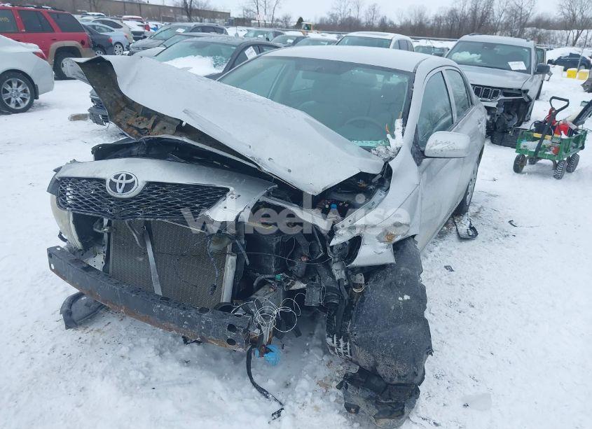 Photo 6 of 2010 Toyota Corolla LE (VIN 2T1BU4EE0AC282639)