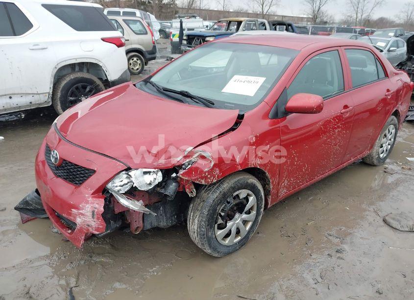 Photo 2 of 2010 Toyota Corolla LE (VIN 2T1BU4EE0AC288859)