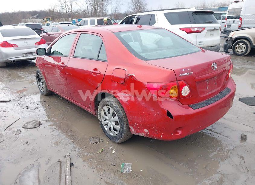 Photo 3 of 2010 Toyota Corolla LE (VIN 2T1BU4EE0AC288859)