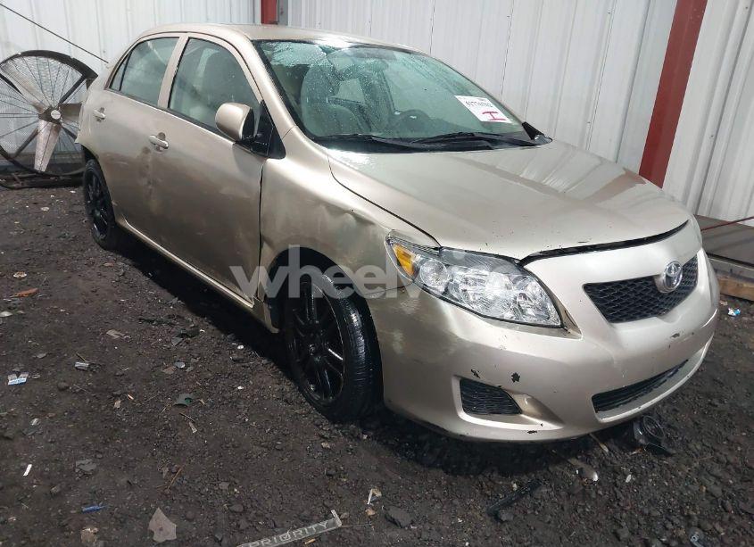 2010 Toyota Corolla LE (VIN 2T1BU4EE0AC373801) main photo