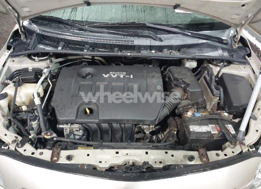 Photo 10 of 2010 Toyota Corolla LE (VIN 2T1BU4EE0AC373801)