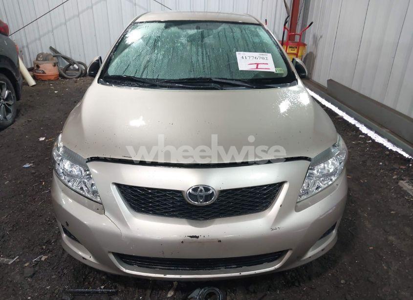 Photo 12 of 2010 Toyota Corolla LE (VIN 2T1BU4EE0AC373801)