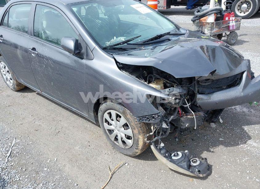 Photo 12 of 2010 Toyota Corolla LE (VIN 2T1BU4EE0AC382501)