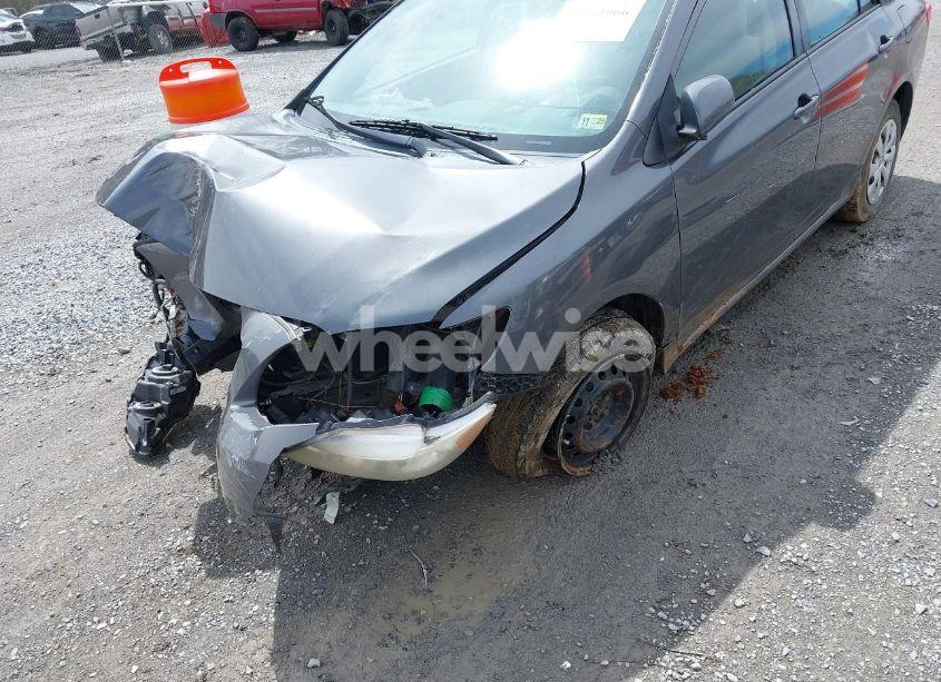 Photo 13 of 2010 Toyota Corolla LE (VIN 2T1BU4EE0AC382501)