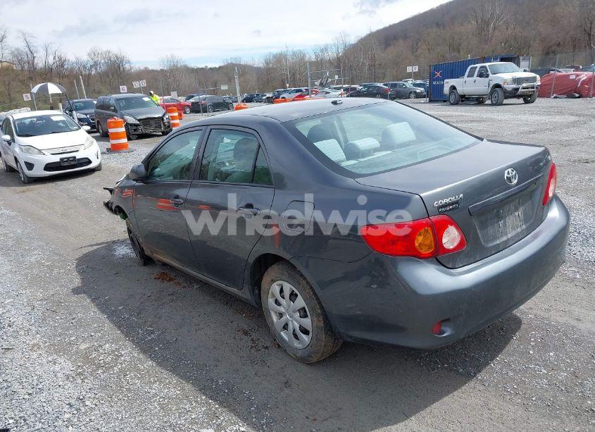 Photo 3 of 2010 Toyota Corolla LE (VIN 2T1BU4EE0AC382501)