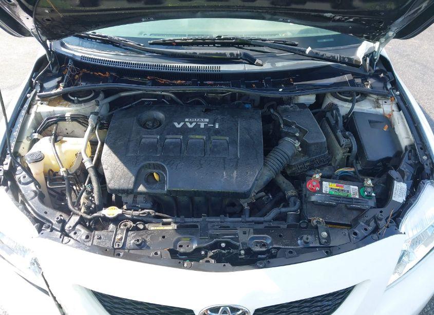 Photo 10 of 2010 Toyota Corolla S (VIN 2T1BU4EE0AC434807)